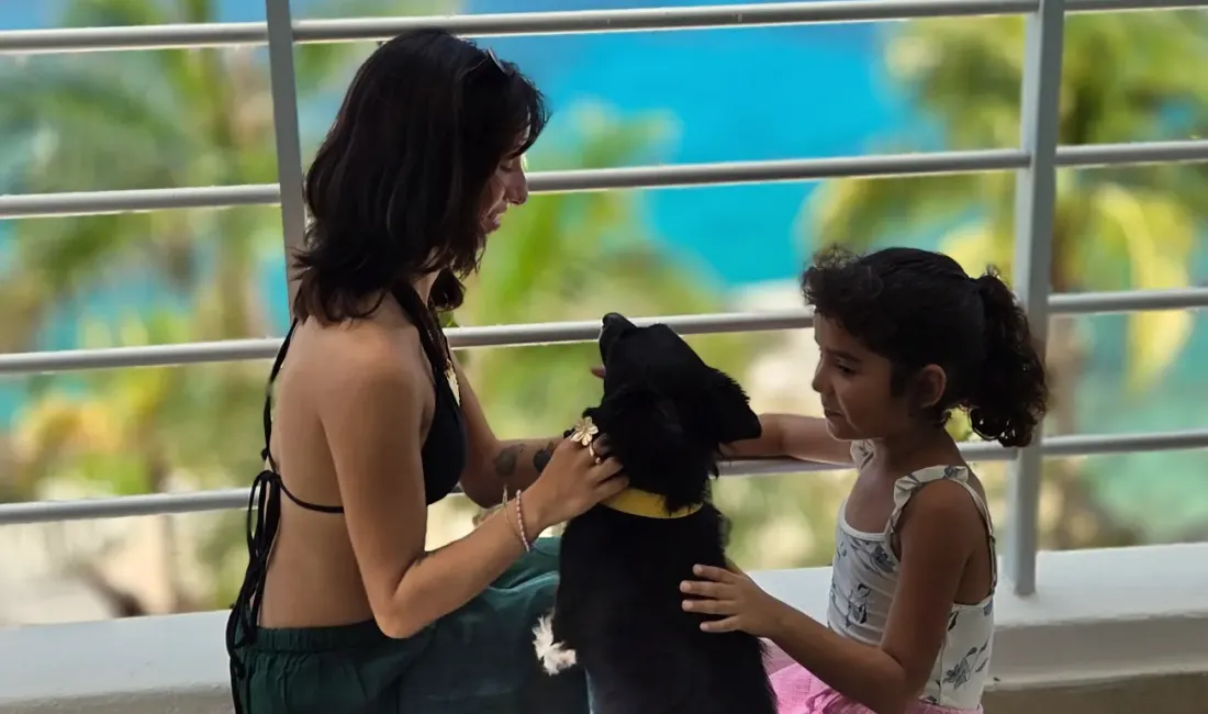 Dog Friendly B Cozumel Hotel Dog Friendly B Cozumel Hotel